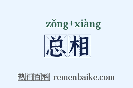 总相是什么意思的图片